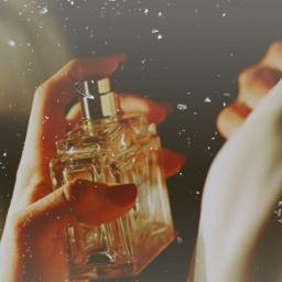 Sprayedperfumme's profile picture. لرشـــــــة العطر قدرة على فتح كتاب الذكريآت , وتقليب اوراقه بين دفتيه ,,كيفما شاااء .
