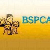 Bombay SPCA (@bombayspca) Twitter profile photo