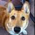 Sutter Brown (@sutterbrown) Twitter profile photo Sutter Brown (@sutterbrown) Twitter profile photo