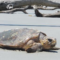 Jeffgo222's profile picture. 