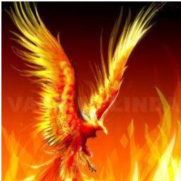 EKermani's profile picture. MSc, Mechanical Engineer, Political and Human Rights activist. #براندازم