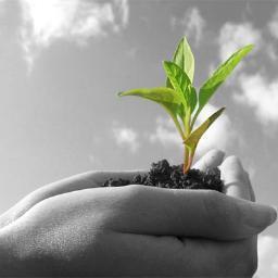 Determining what constitutes excellence in Extension, what the criteria of excellence are and how they are measured, and how this makes Extension unique.