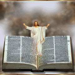 ASTEDALLAM's profile picture. 