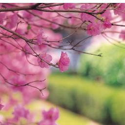 Money & Spirit Journal
#spirituality #success #fitness #peace #abundance #deepwork