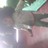 nicolas81283's profile image