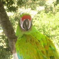 Elisabeth Malkin (@elisabethmalkin) 's Twitter Profile Photo