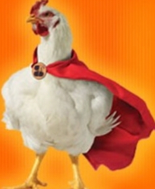 Un pollo divagando entre nubes