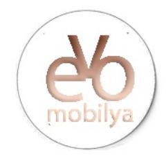 Evo Mobilya