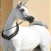 عبدالرحمن الشعلان (@doooomy4) Twitter profile photo عبدالرحمن الشعلان (@doooomy4) Twitter profile photo