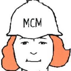 Veiligmeid's profile picture. Marianne Mulder - gepassioneerde veiligheidskundige voor raad en daad bij bodemverontreiniging, bedrijfshulpverlening en lastige veiligheidsvraagstukken