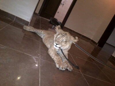 fahadh454's profile picture. 