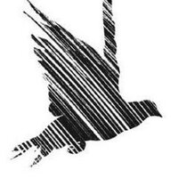 pilotnights (@pilotnights) 's Twitter Profile Photo