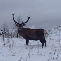 Paul (@1fuzzy1985) 's Twitter Profile