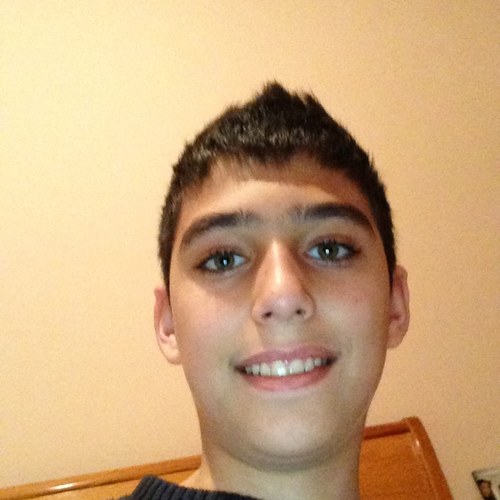 A 12 year old boy who loves basketball hates one direction and loves muse