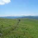 Mike Ellington - @mellington409 - Twitter