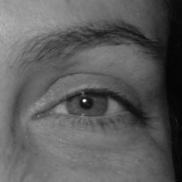 LaetitiaBalland's profile picture. self-educated web squirrel