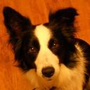 Kathie Morrow - @KM40511 - Twitter