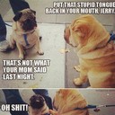 Fred Todd - @FredTodd596 - Twitter