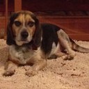 Les Edwards - @LesMemphis - Twitter