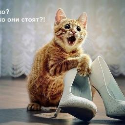 Я ЯК Я