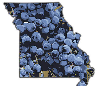 The Missouri Wine Club lets members sample Missouri’s best wines in the comfort of their own homes and without traveling throughout the state.