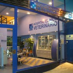 el bienestar de las mascotas es nuestra razón de ser a través de la medicina veterinaria