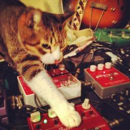 mrkushu's profile picture. 写真垢
https://t.co/qMGDhNIpKX