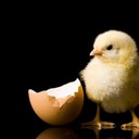 Marvin Klein - @thouxghts - Twitter