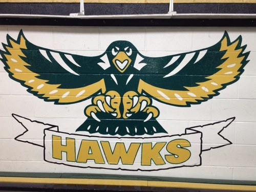 FogoHawks's profile picture. 