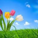 Marius Venter - @MariusVenter6 - Twitter