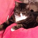 Mandy Hood - @mlhoody - Twitter