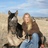 AnnaTwinney's profile image