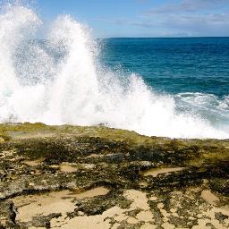 Feelings are like waves~~~ we can’t stop them from coming, but we can choose which ones to surf.