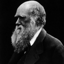 eeoblogger's profile picture. Blogging for Evolution: Education & Outreach