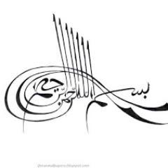 serjancurri's profile picture. 