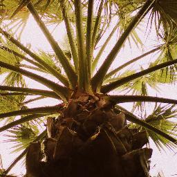 TadpoleBlog's profile picture. A teenagers look on everything travel!