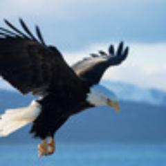 I am like an eagle. I am a free spirit. Either admire me from the ground, or fly with me... but dont ever try to cage me.