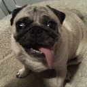 teri lyn - @teresalyn1 - Twitter