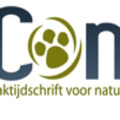 2complement's profile picture. 