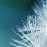 WeBS (@web_00007) 's Twitter Profile