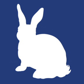 drinkmealice's profile picture. Drink Me Alice Jewellery. Please follow @goaskalicia for updates straight from the designer!