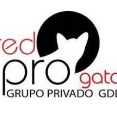 RedProGato Profile Picture