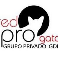 Red Pro Gato Guadalajara(@RedProGato) 's Twitter Profileg