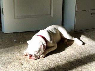 wadsbro's profile picture. What we have here... is a failure to communicate.