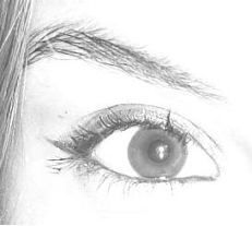 Flavinha_Maffei's profile picture. Graduanda em Gestão Ambiental pelo IFSC