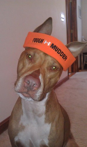 Brittany_Mar's profile picture. 