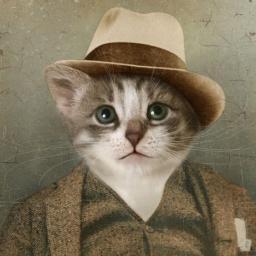 crazycatlover99's profile picture. media theater is my life