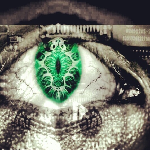 MUSIC PRODUCER/filmmaker, produces, directs, writes, shoots and edits documentaries and experimental RECORDING /MASTERS/COVER ARTWORK/LOGOS/CLOTHING/MEDIA