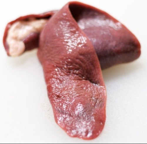 Ejectorspleen's profile picture. 