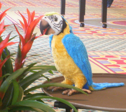 squawkersmccaw's profile picture. Autistic without a functioning label. I blog at  Square 8. I squawk, therefore I am.